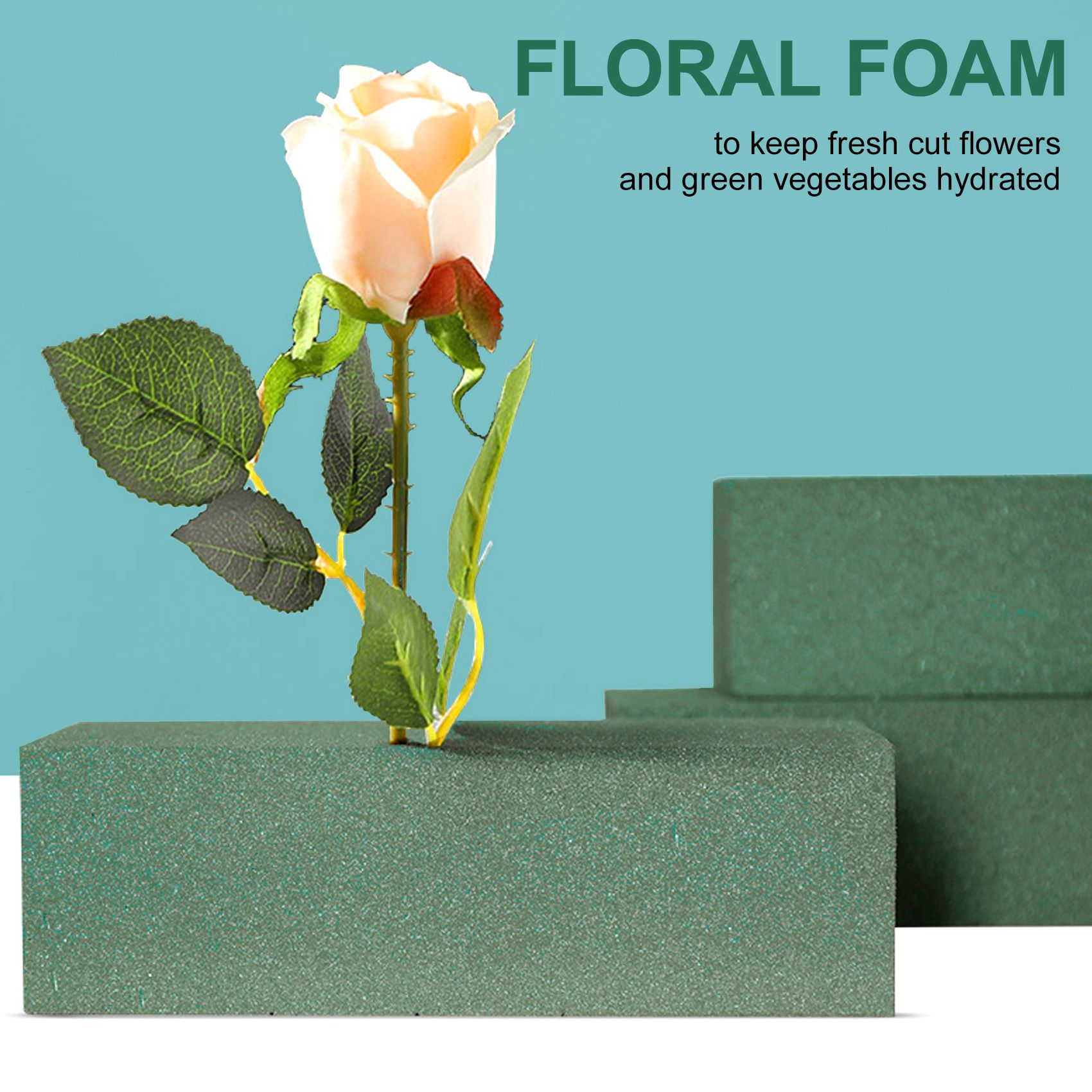 AC52-6PCS Floral Foam Bricks F - Florist Flower Supply 评论和价格