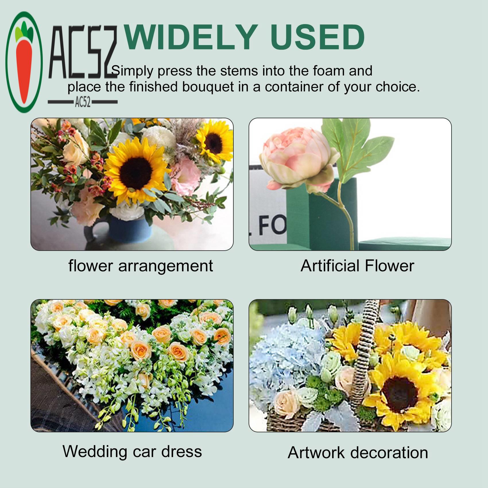 AC52-6PCS Floral Foam Bricks F - Florist Flower Supply 评论和价格