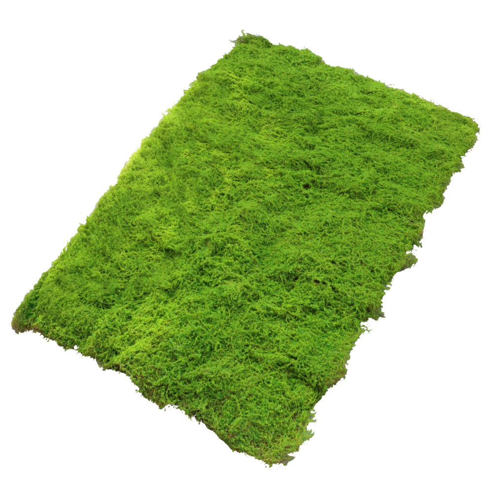 Faux Moss Turf Mat Artificial  - Preserved Moss Sheet 评论和价格