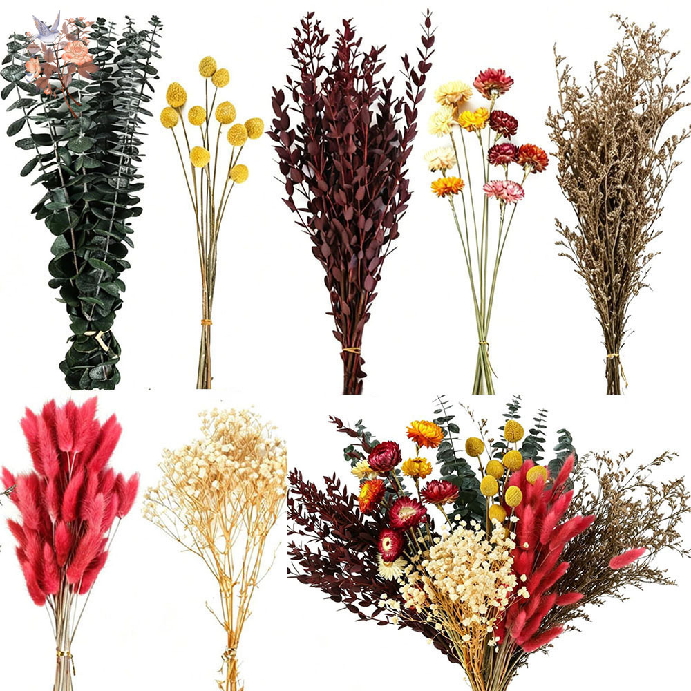 Dried Flowers Bulk Set 7 Kinds - Florist Supply Bulk 评论和价格