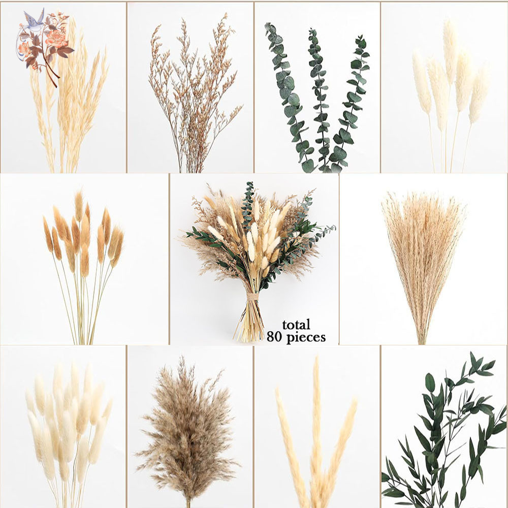 80Pcs Natural Dried Flowers Bo - Eucalyptus Preserved 评论和价格