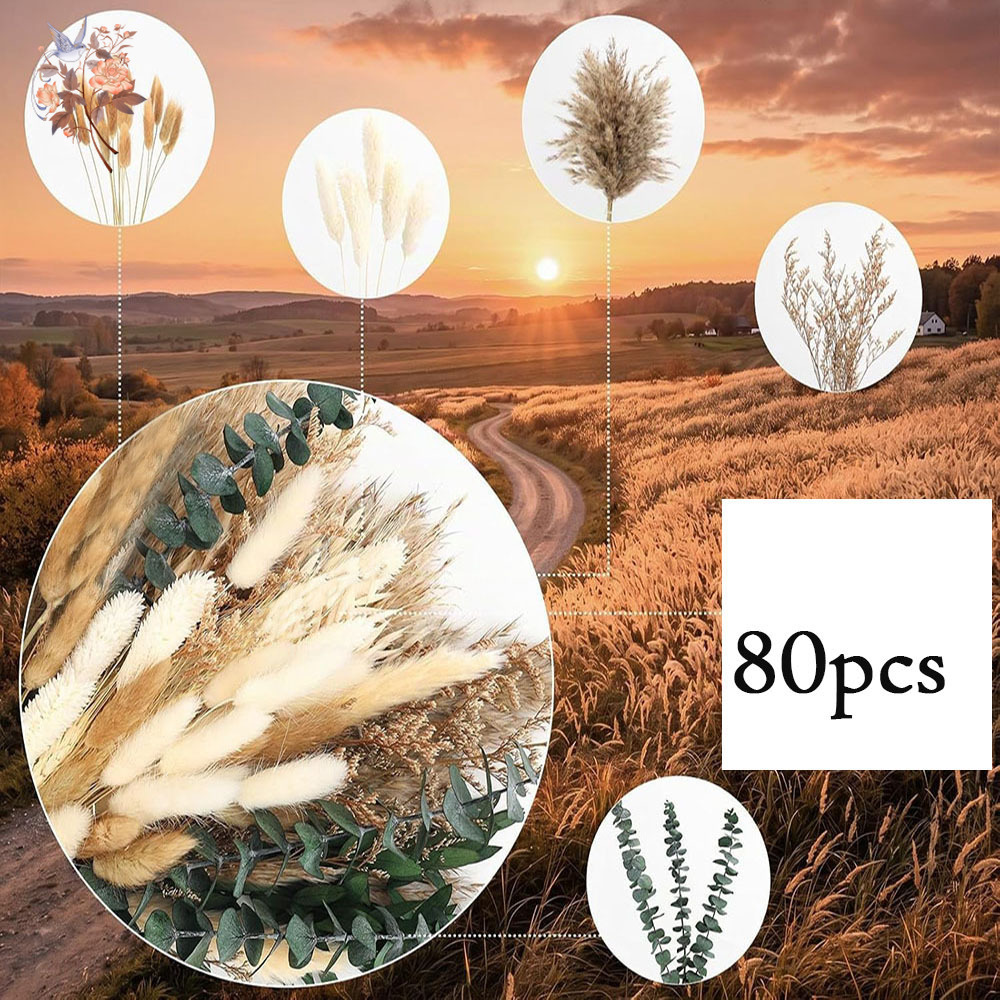 80Pcs Natural Dried Flowers Bo - Eucalyptus Preserved 评论和价格