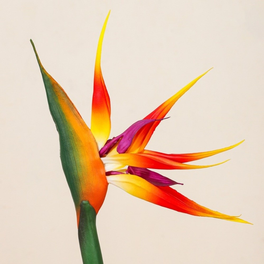 New Long Stem Artificial Bird  - Florist Supply Bulk 评论和价格